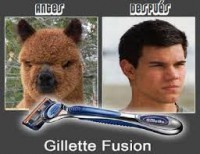 /album/fotogaleria/images-7-jpg/